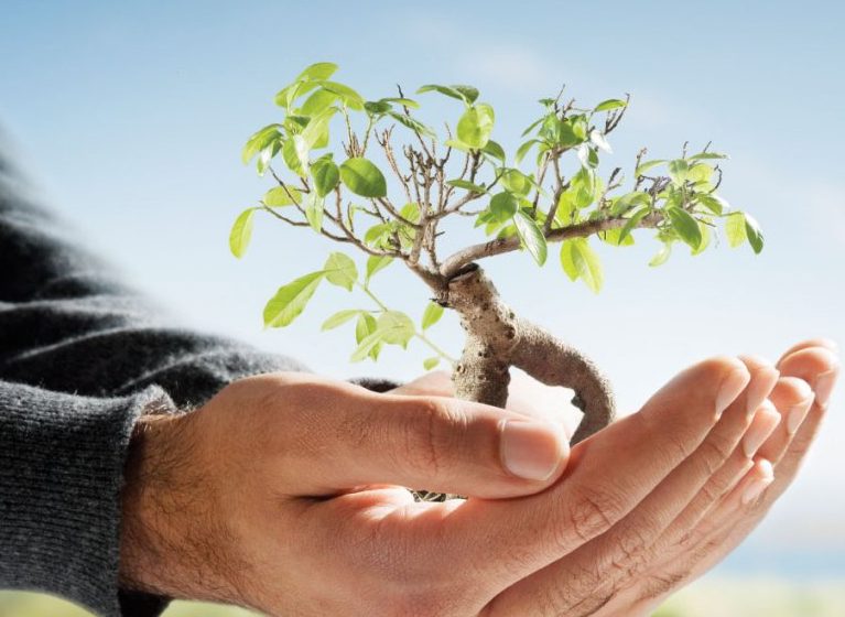 Gestão-e-Educação-Ambiental-1-767x560