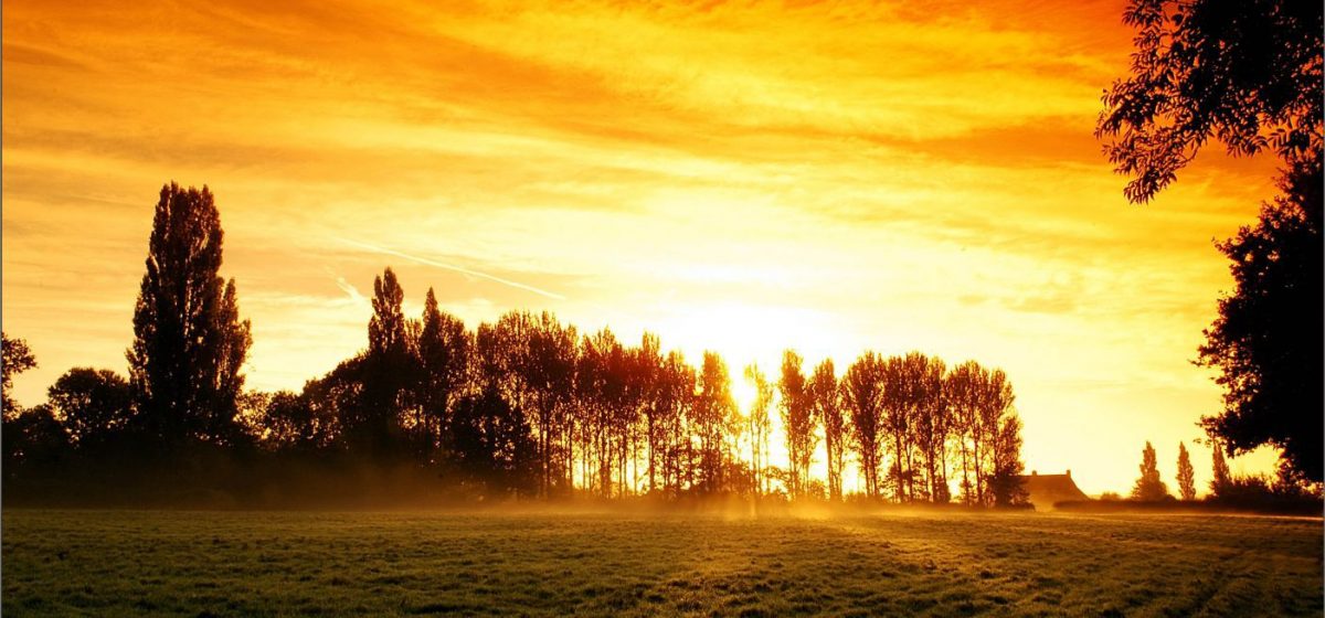 papel_de_parede_paisagens_por_do_sol_0003_995_2_20190322154835-1200x560